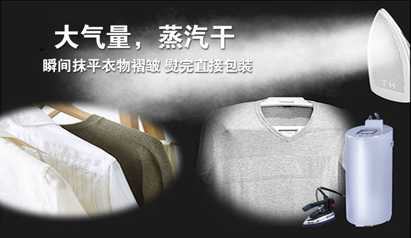 服装蒸汽发生器 服装蒸汽发生器
