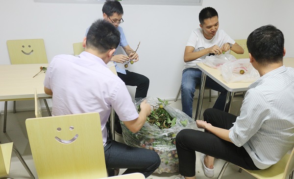 蒸汽锅炉 蒸汽锅炉