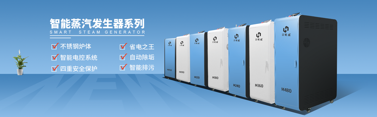 汉明威智蒸汽发生器 汉明威智蒸汽发生器